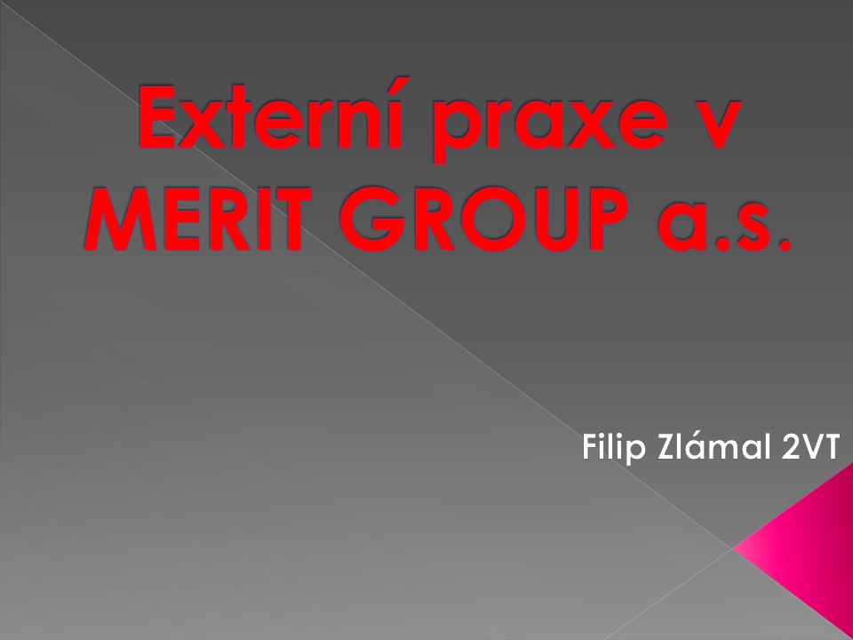 Filip Zlámal - praxe v Merit Group